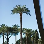 F2 Terrasse, Moderne, Hyper Centre, Clim, Ascenseur- Dubouchage